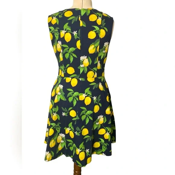Lemon Be by Chetta B Dress Size 14 Cute Fruit A Line Summer Lemonade Stretch - Picture 3 of 6